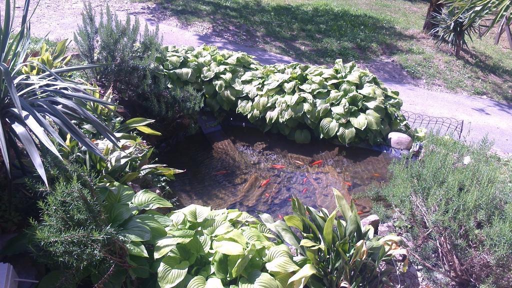 Hotel Ristorante El Caracol Mulazzo Zewnętrze zdjęcie